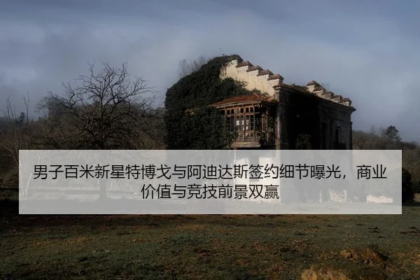 nan-zi-bai-mi-xin-xing-te-bo-ge-yu-a-di-da-si-qian-yue-xi-jie-bao-guang-shang-ye-jia-zhi-yu-jing-ji-qian-jing-shuang-2-698.jpg