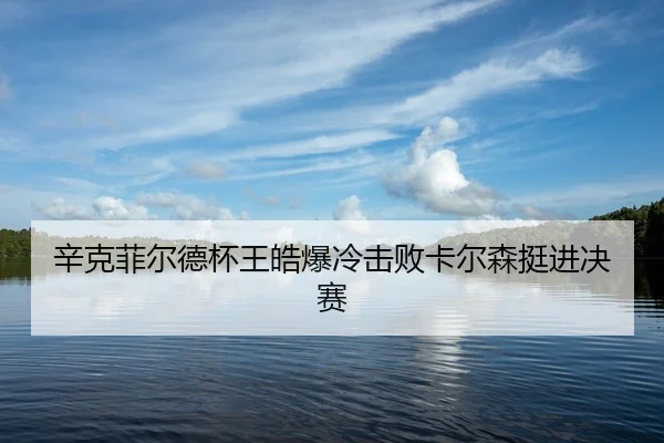 xin-ke-fei-er-de-bei-wang-hao-bao-leng-ji-bai-ka-er-sen-ting-jin-jue-sai-3-116.jpg