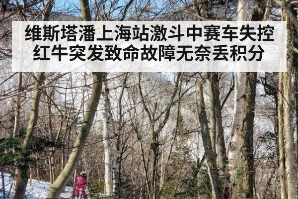 维斯塔潘上海站激斗中赛车失控 红牛突发致命故障无奈丢积分