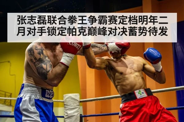 张志磊联合拳王争霸赛定档明年二月对手锁定帕克巅峰对决蓄势待发